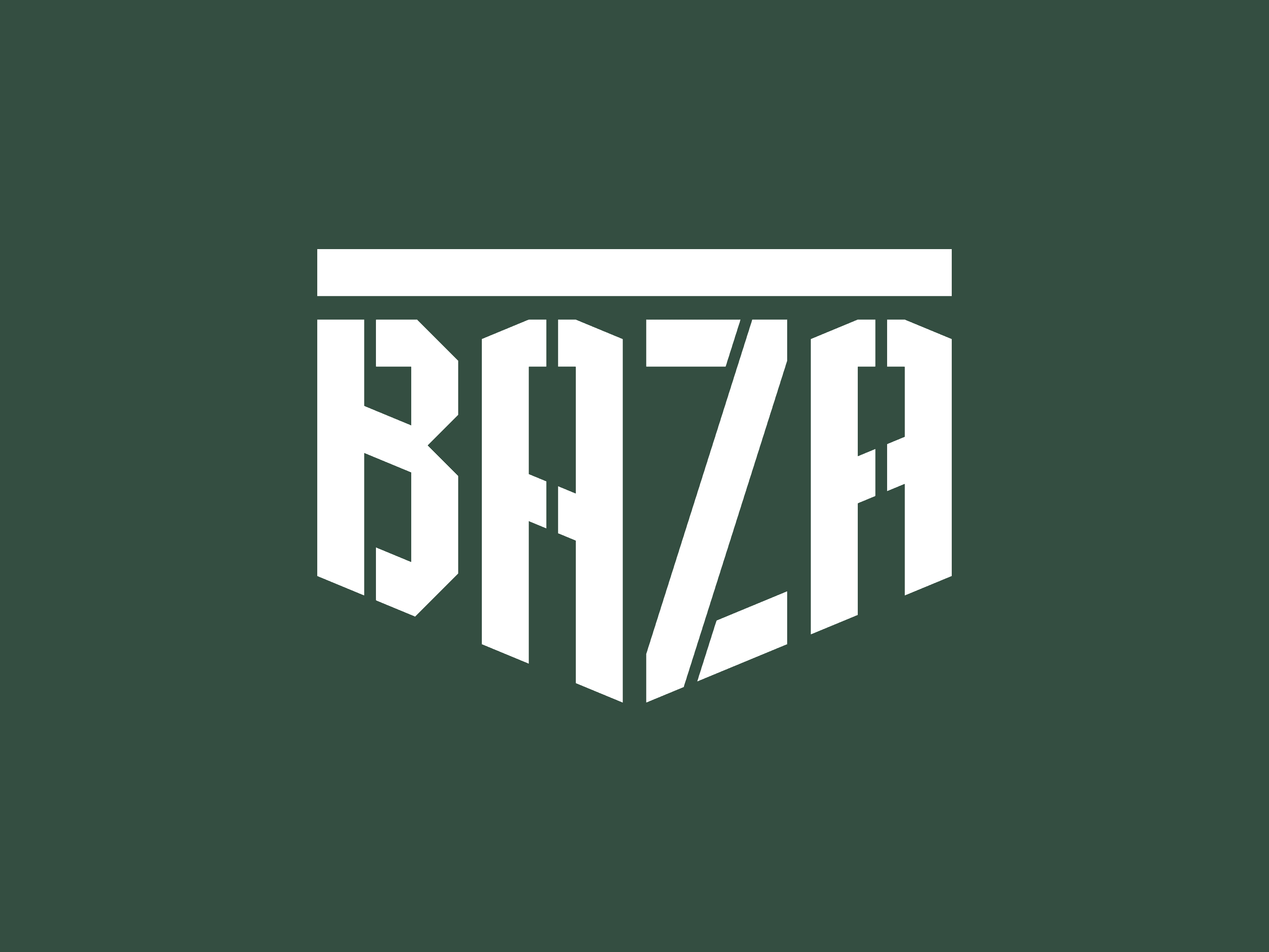 Білий логотип BAZA на оливково-зеленому тлі: основна палітра бренду.