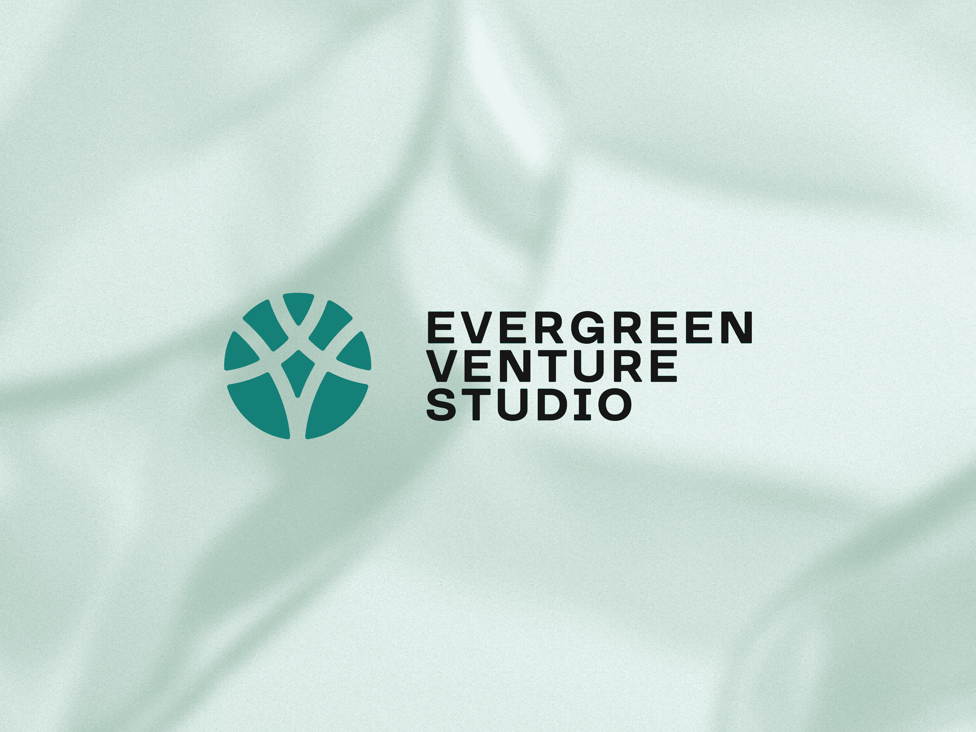 Логотип Evergreen Venture Studio на плинному тлі, схожому на тканину: елегантність і гнучкість бренду.