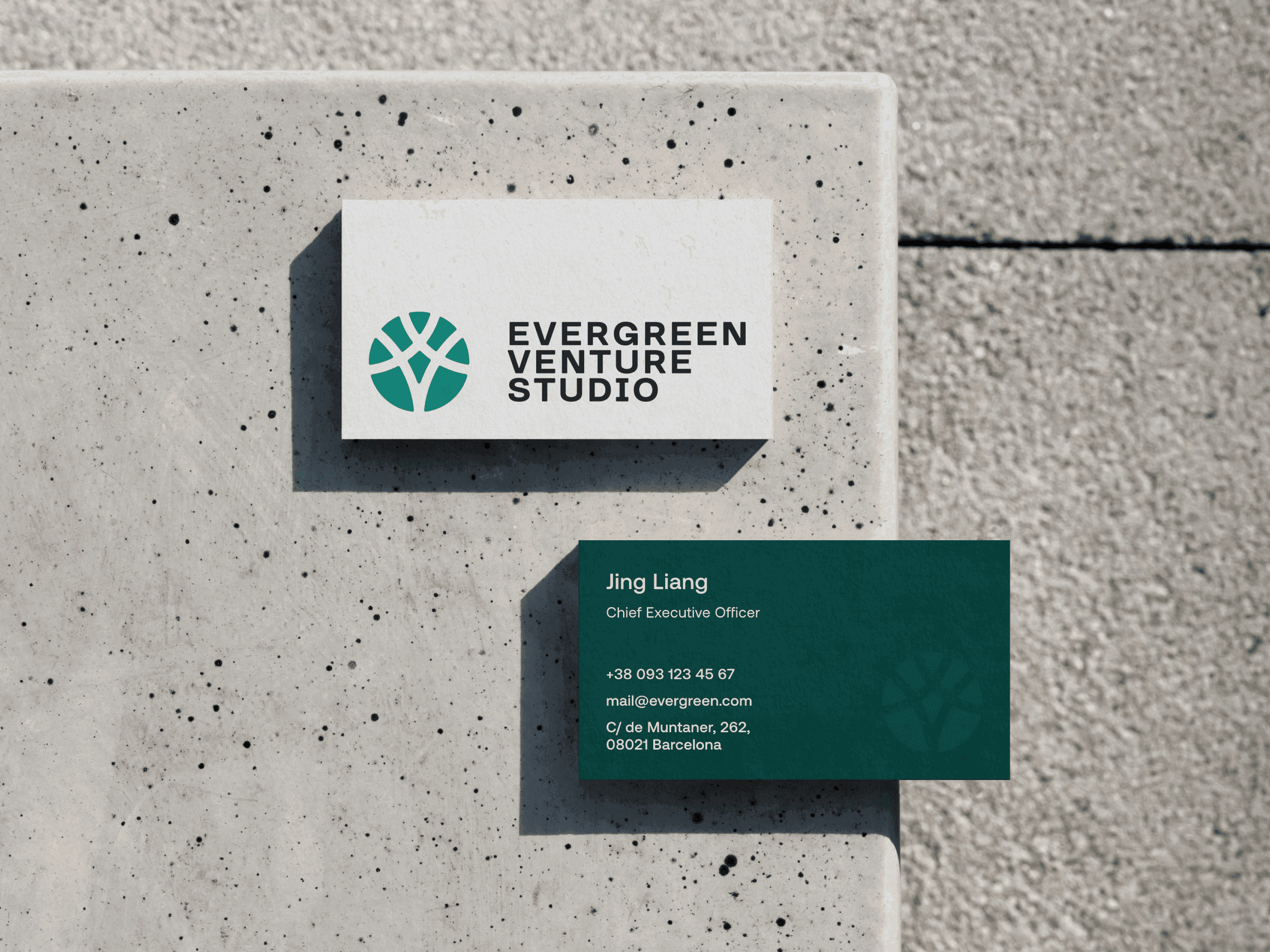 Візитівки Evergreen Venture Studio на бетонній поверхні: професійний брендинг і якісний друк.