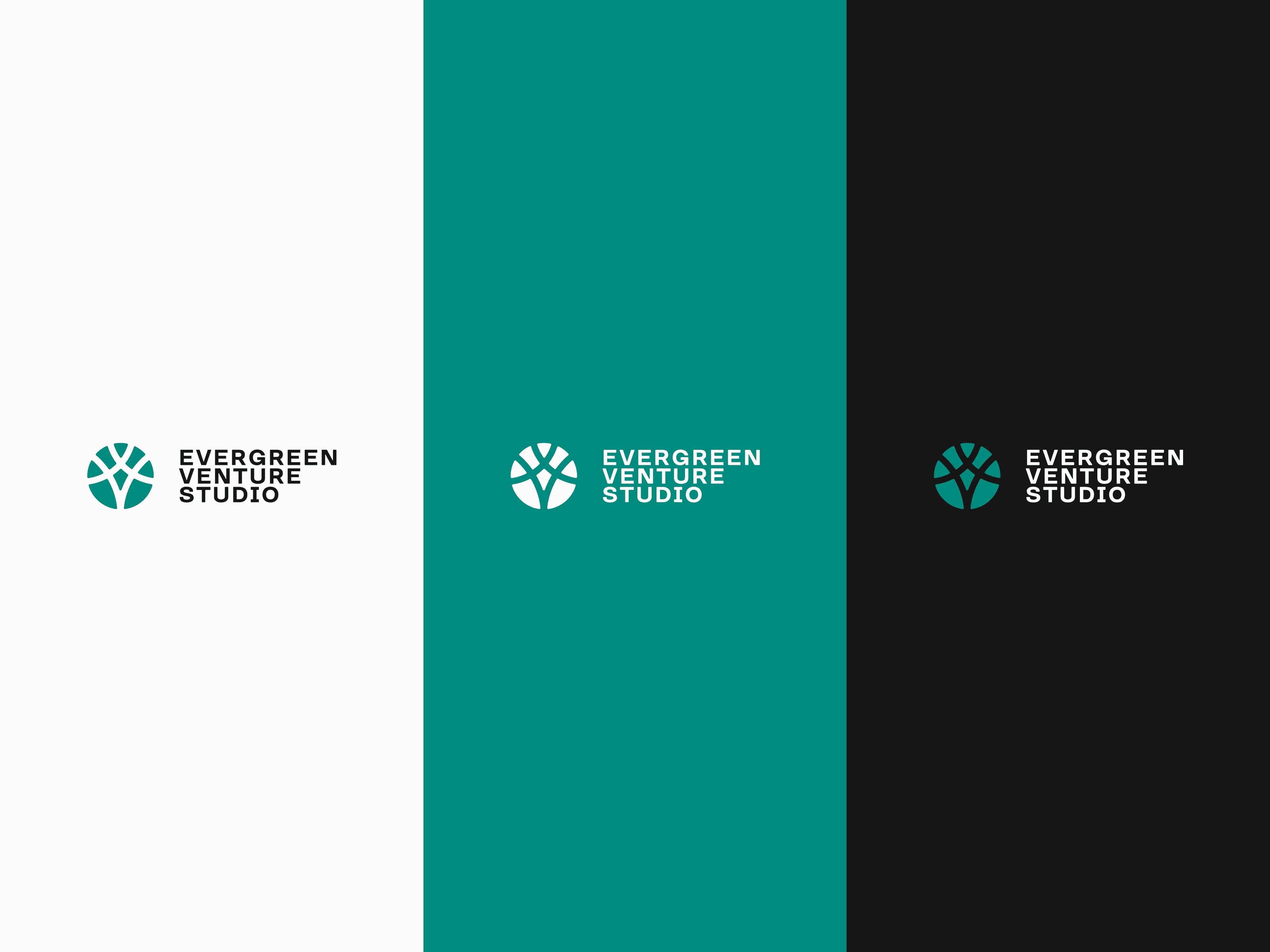 Варіанти логотипа Evergreen Venture Studio на білому, бірюзовому й чорному тлі для різних носіїв.
